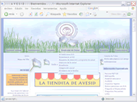 :: ACTIVA ::